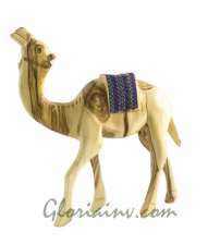Camel 25 cm with Cloth 